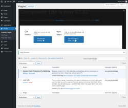 Page screenshot: Plugins ‹ Test site — WordPress