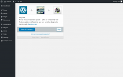 Page screenshot: ‹ Test site — WordPress