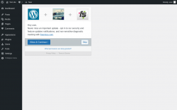 Page screenshot: ‹ Test site — WordPress