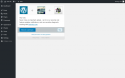 Page screenshot: ‹ Test site — WordPress