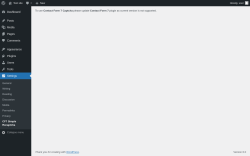 Page screenshot: Settings &rarr; CF7 Simple Recaptcha