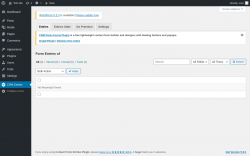 Page screenshot: CRM Entries