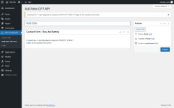 Page screenshot: CF7 to Any API &rarr; Add New CF7 API
