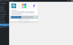 Page screenshot: Contact Widgets For Elementor ‹ Test site — WordPress