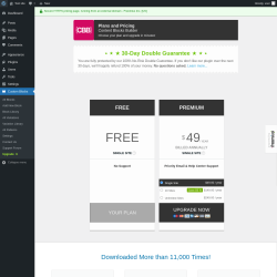 Page screenshot: Custom Blocks → Upgrade  ➤