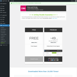 Page screenshot: Custom Blocks → Upgrade  ➤