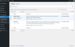 Page screenshot: Plugins ‹ Test site — WordPress