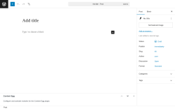 Page screenshot: Add Post ‹ Test site — WordPress