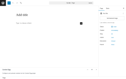 Page screenshot: Add Page ‹ Test site — WordPress