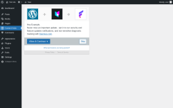Page screenshot: ‹ Test site — WordPress