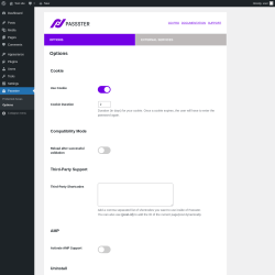 Page screenshot: Passster &rarr; Options