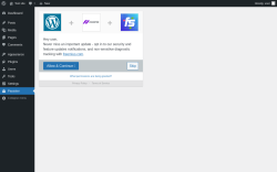 Page screenshot: Passster &lsaquo; Test site &mdash; WordPress
