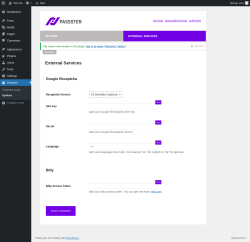 Page screenshot: Passster &rarr; Options &rarr; External Services