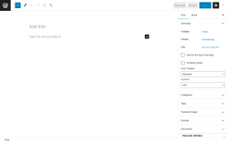 Page screenshot: Add New Post &lsaquo; Test site &mdash; WordPress