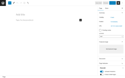 Page screenshot: Add New Page &lsaquo; Test site &mdash; WordPress