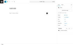 Page screenshot: Add New Page &lsaquo; Test site &mdash; WordPress
