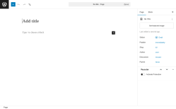 Page screenshot: Add Page &lsaquo; Test site &mdash; WordPress