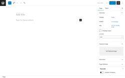 Page screenshot: Add New Page &lsaquo; Test site &mdash; WordPress