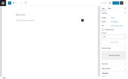 Page screenshot: Add New Page &lsaquo; Test site &mdash; WordPress