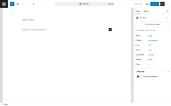 Page screenshot: Add New Page &lsaquo; Test site &mdash; WordPress