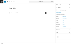 Page screenshot: Add New Post &lsaquo; Test site &mdash; WordPress
