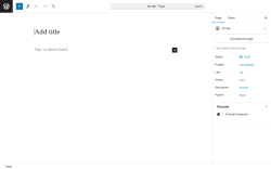 Page screenshot: Add New Page &lsaquo; Test site &mdash; WordPress