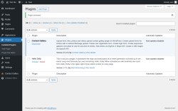 Page screenshot: Plugins ‹ Test site — WordPress