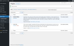 Page screenshot: Plugins ‹ Test site — WordPress