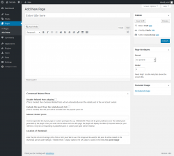 Page screenshot: Add New Page &lsaquo; Test site &mdash; WordPress