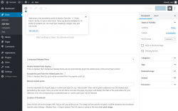 Page screenshot: Add New Post &lsaquo; Test site &mdash; WordPress