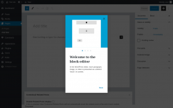 Page screenshot: Add New Page &lsaquo; Test site &mdash; WordPress