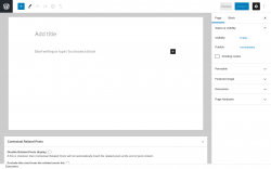 Page screenshot: Add New Page &lsaquo; Test site &mdash; WordPress