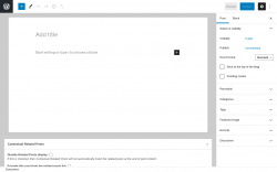 Page screenshot: Add New Post &lsaquo; Test site &mdash; WordPress