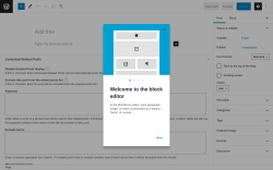 Page screenshot: Add New Post &lsaquo; Test site &mdash; WordPress