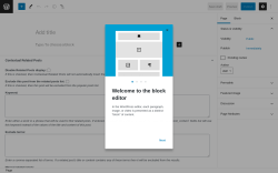 Page screenshot: Add New Page &lsaquo; Test site &mdash; WordPress