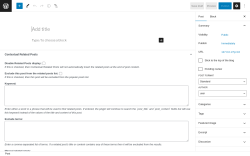 Page screenshot: Add New Post &lsaquo; Test site &mdash; WordPress