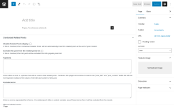 Page screenshot: Add New Page &lsaquo; Test site &mdash; WordPress