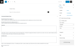 Page screenshot: Add New Post &lsaquo; Test site &mdash; WordPress