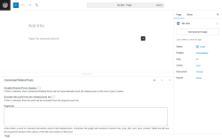 Page screenshot: Add Page ‹ Test site — WordPress