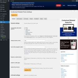 Page screenshot: Settings &rarr; Related Posts