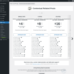 Page screenshot: Settings &rarr; Upgrade&nbsp;&nbsp;➤