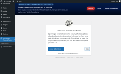 Page screenshot: Contextual Related Posts &lsaquo; Test site &mdash; WordPress