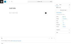 Page screenshot: Add Post ‹ Test site — WordPress