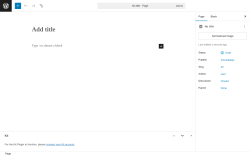 Page screenshot: Add Page ‹ Test site — WordPress
