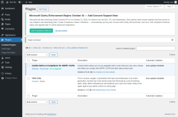 Page screenshot: Plugins &lsaquo; Test site &mdash; WordPress