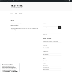 Page screenshot: Test site – Just another WordPress site