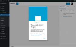 Page screenshot: Widgets ‹ Test site — WordPress