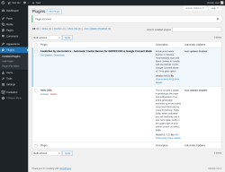 Page screenshot: Plugins &lsaquo; Test site &mdash; WordPress