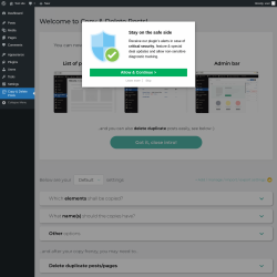 Page screenshot: Copy & Delete Posts