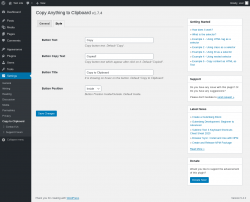 Page screenshot: Settings → Copy to Clipboard → Style